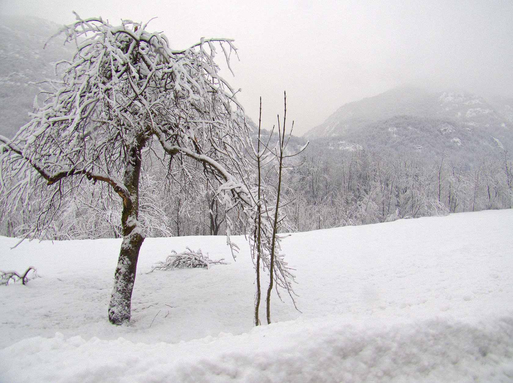 Nevicata in Valsesia